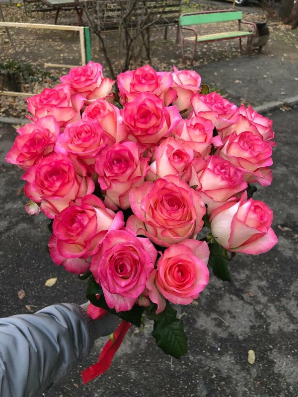 Анастасия П.