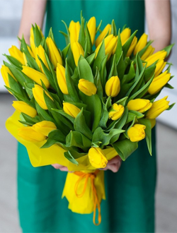 59 желтых тюльпанов