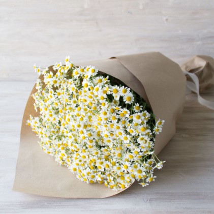 Цветы "Ромашковый луг"