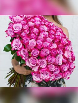 101 голландская роза DEEP PURPLE