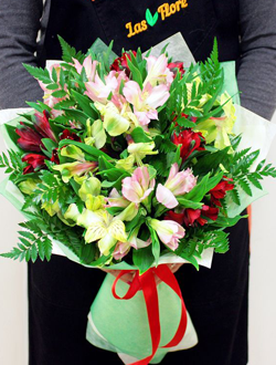 Альстромерии "Восторг"