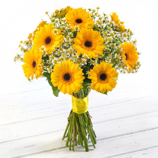 Какие цветы дарят на День семьи, любви и верности?