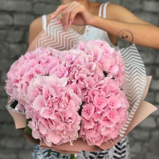 5 розовых гортензий с оформлением