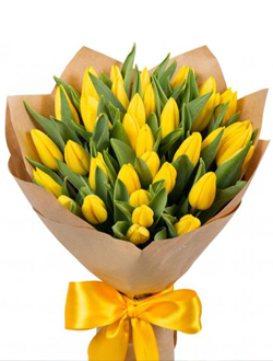 39 желтых тюльпанов