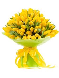 Шикарный букет из 101 желтого тюльпана