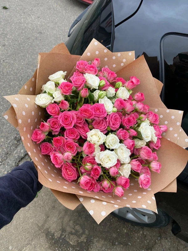 Александр Острицов