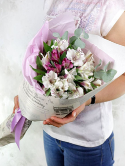 Альстромерии "Элегия"