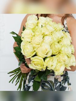 21 Голландская роза MONDIAL