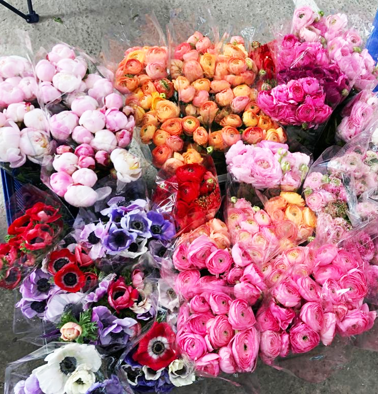 543e433f-2292-403e-b938-bc328e75cecc (1).png