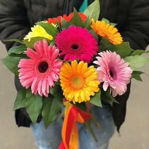 Букет гербер "Лиссабон"