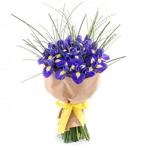 Букет из 17 ирисов