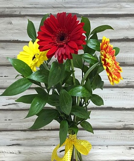 Милый букет гербер "Трио гербер"