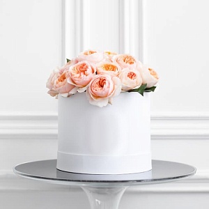 Фото Коробочка "Президент"