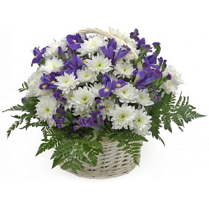 Корзина с ирисами и кустовыми хризантемами