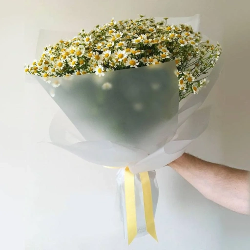Букет из ромашек "Ева"
