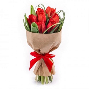7 красных тюльпанов