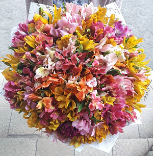 Букет из 101 Альстромерии