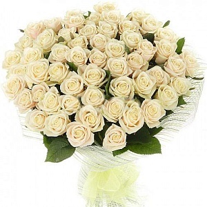 Букет из 51 красивой нежной розы