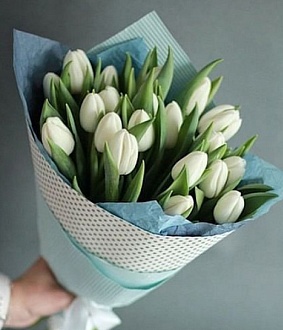 Фото 25 Белых тюльпанов в стильной упаковке