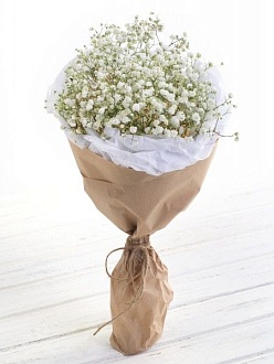 Гипсофилы "Белая дымка"