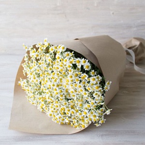 Цветы "Ромашковый луг"