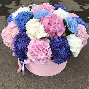 Фото Коробочка гортензий "Ты мой смысл жизни"