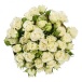Кустовые розы белые "White snow" Кустовые розы белые "White snow"