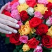 51 Краснодарская роза Микс в классическом букете 51 Краснодарская роза Микс в классическом букете