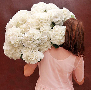 Гортензии "Аделина"