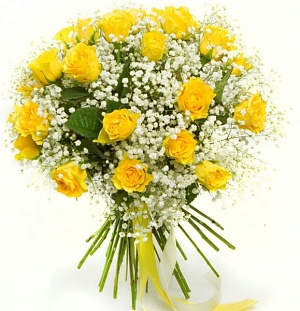 35 желтых роз с гипсофилами "Солнечное сияние"