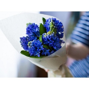 9 гиацинтов