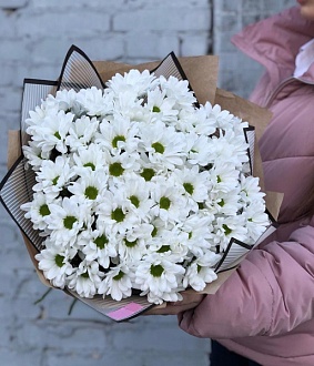 Белоснежный букет из 15 ромашковых хризантем