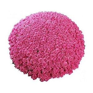 Фото 1001 розовая роза в корзине