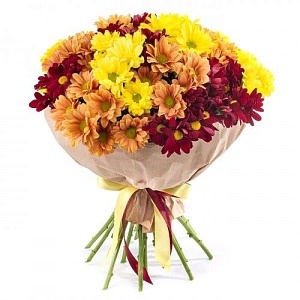 15 кустовых хризантем