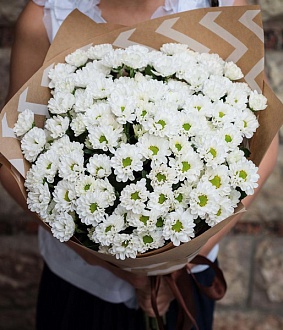 Нежный букет из 25 белых ромашковых хризантем
