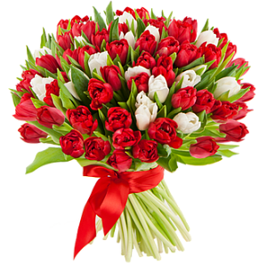 Букет в красно-белом цвете из 101 тюльпана