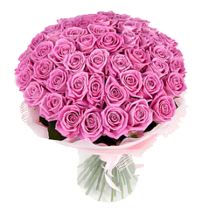 Фото Букет из 51 розовой розы