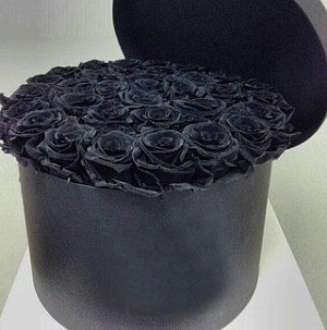 Фото Коробка с черными розами "Black of the black"