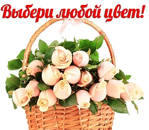 Фото 15 роз в корзине - Цвет на выбор!