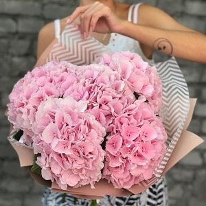 5 розовых гортензий с оформлением