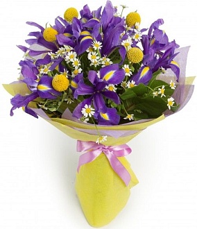 Полевые цветы Букет "Синие глаза"