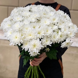 Охапка "Эверест"