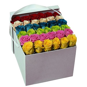 Фото Розы в коробке "Фонтан красок"