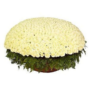 Фото 1001 белая роза в корзине