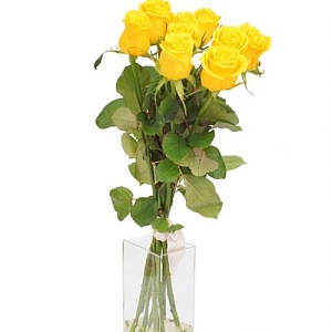 9 желтых роз