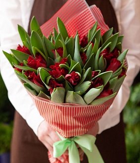 Фото Красные тюльпаны