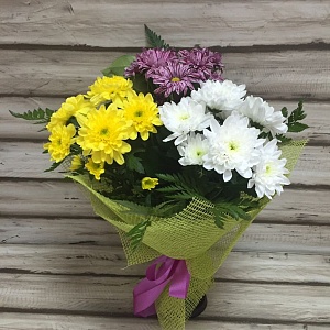 Хризантемы "Яркое трио"