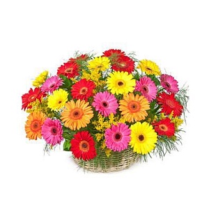 Милая корзина с герберами