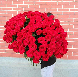 151 Голландская роза