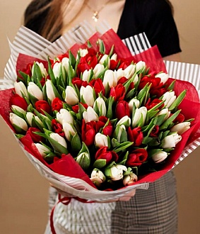 Красно-белый букет из 101 тюльпана